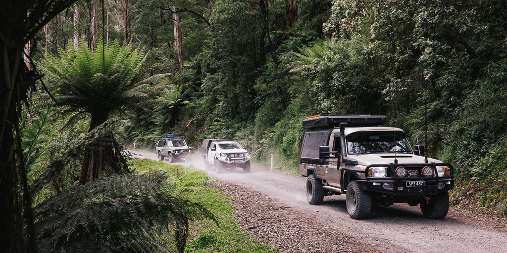 BFG taps car owners' passions with ad campaign - Vimarsana News