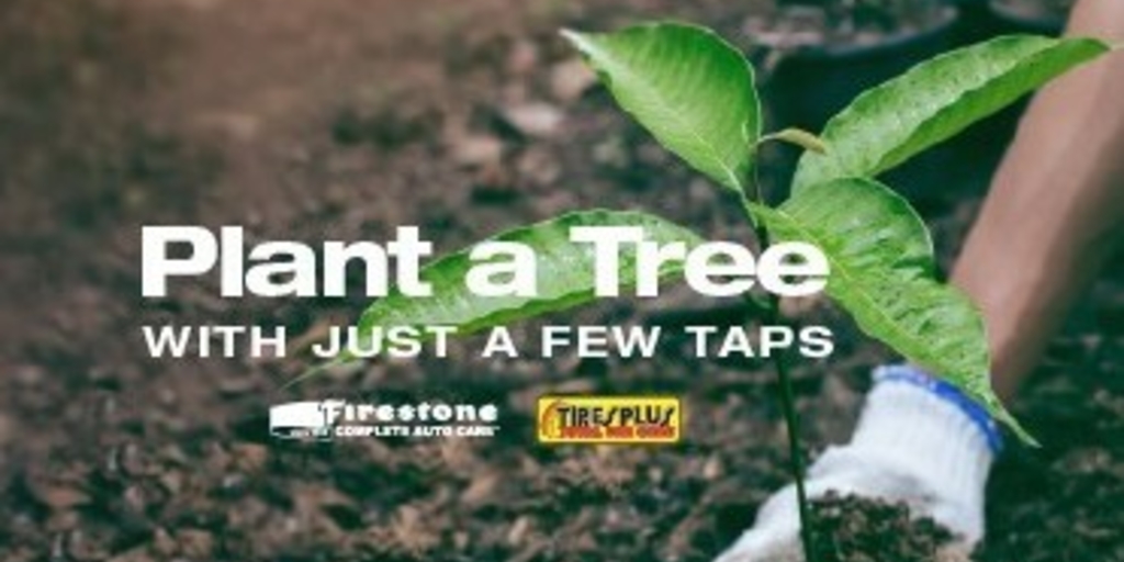 Bridgestone promotes sustainability in retail stores - Vimarsana News