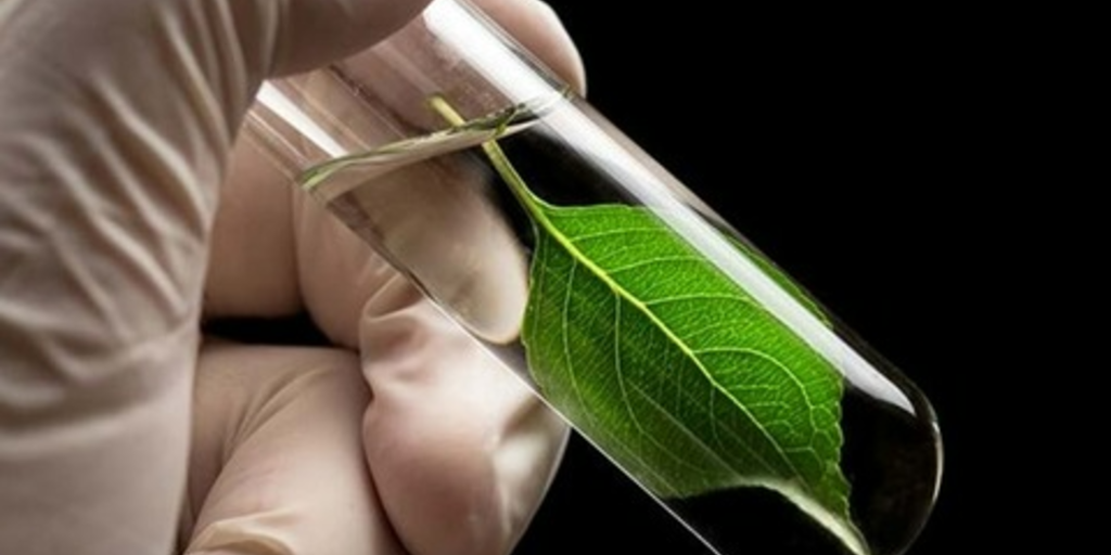 Birla, GranBio Technologies work to make tires more eco-friendly - Vimarsana News