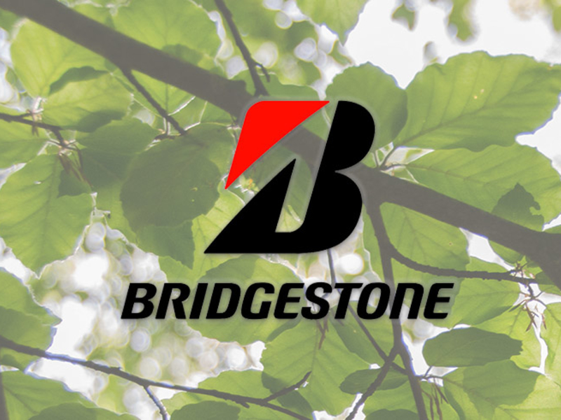 BridgestoneearnsSouthCarolinaEnvironmentalExcellenceaccolades